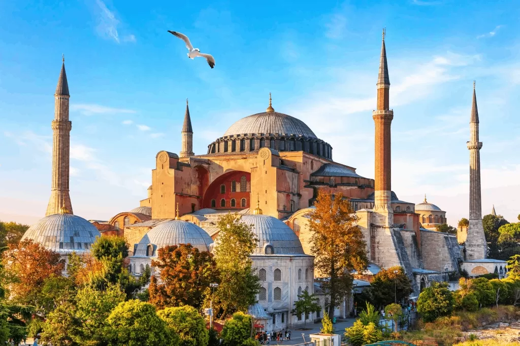 İletişim